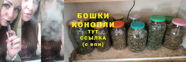 молекула духа Коряжма