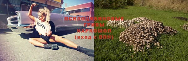 молекула духа Коряжма