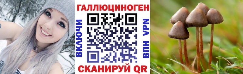 Купить закладки  Андреаполь  Галлюциногенные грибы GOLDEN TEACHER 