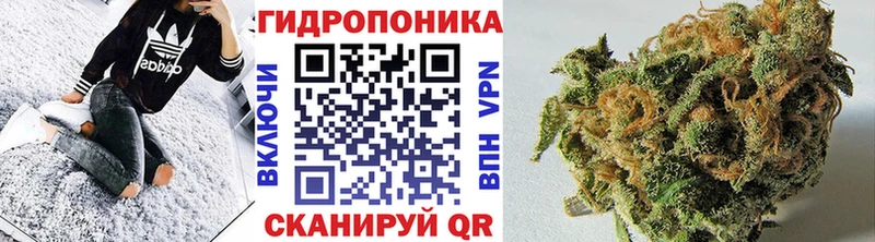 Купить Андреаполь Канабис SATIVA & INDICA